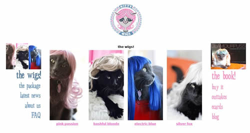 wigs-for-cats